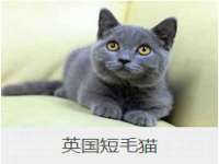 海口琼山狮之魂小吃店