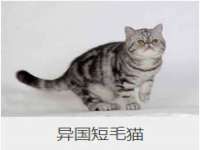 海口琼山狮之魂小吃店