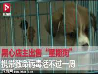 海口琼山狮之魂小吃店