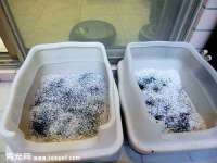 海口琼山狮之魂小吃店