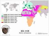 海口琼山狮之魂小吃店