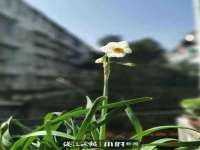 海口琼山狮之魂小吃店