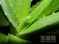 海口琼山狮之魂小吃店