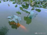 海口琼山狮之魂小吃店