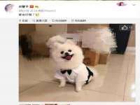 海口琼山狮之魂小吃店