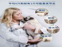 海口琼山狮之魂小吃店