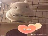 海口琼山狮之魂小吃店