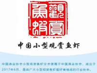 海口琼山狮之魂小吃店