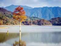 海口琼山狮之魂小吃店