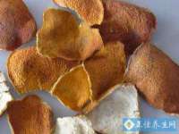 海口琼山狮之魂小吃店