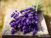 海口琼山狮之魂小吃店